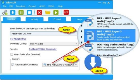 Allavsoft Video Downloader Converter 3.23.7.7868 Multilingual