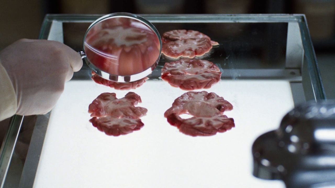 vlcsnap-2023-10-16-10h11m57s395