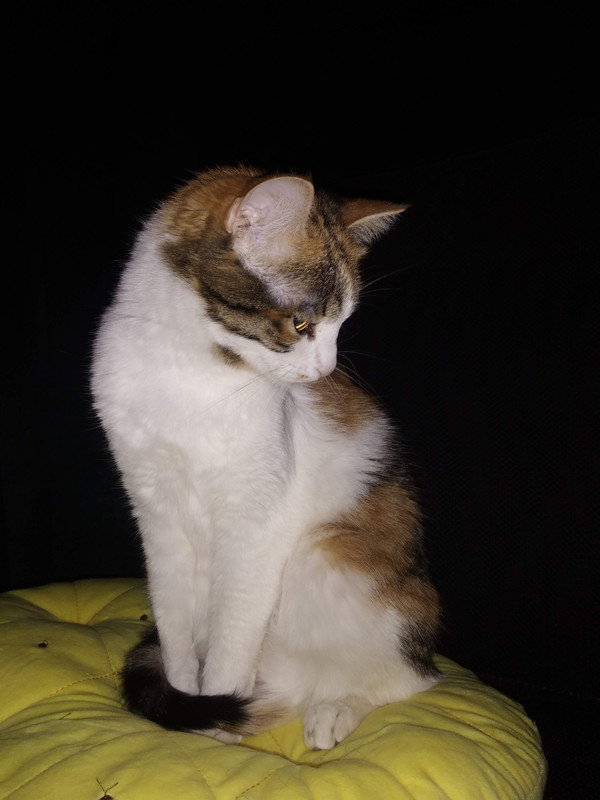 IMG_20200401_221448 (1)