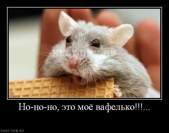 Но-но-но-это-моё-вафелько...[1]