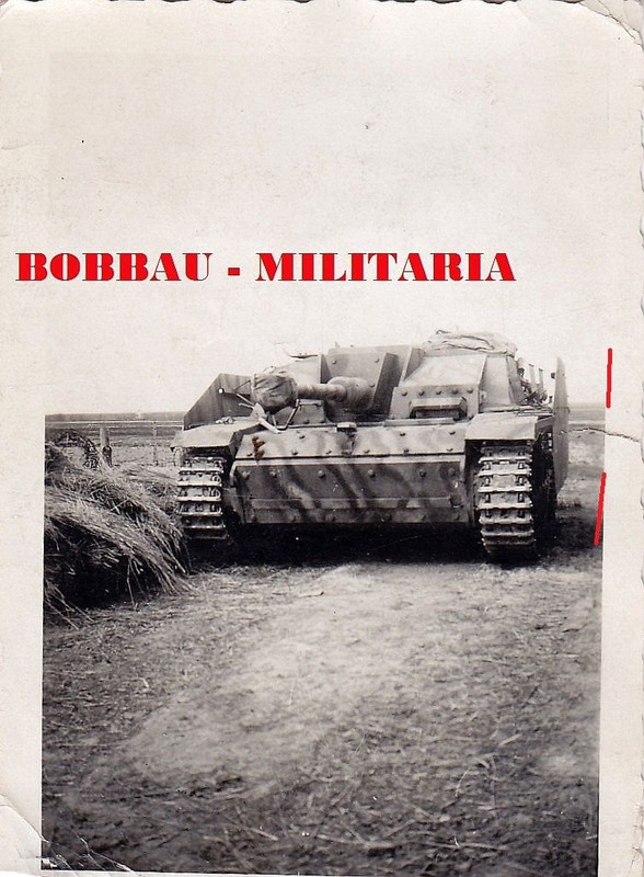 Sturmgeschütz III STUG Langrohr Seitenschürzen camo Tarn Vormars