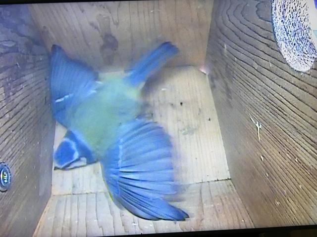 98DD2ADE-1DDE-4DF1-90B5-DE8497FAB35F