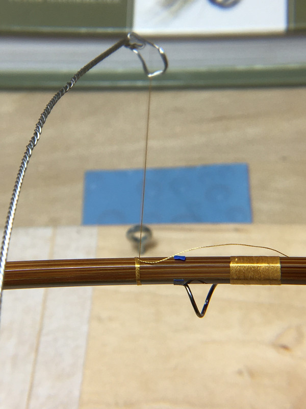 55FE2CFF-F5F8-434A-A868-98EA72813EDD