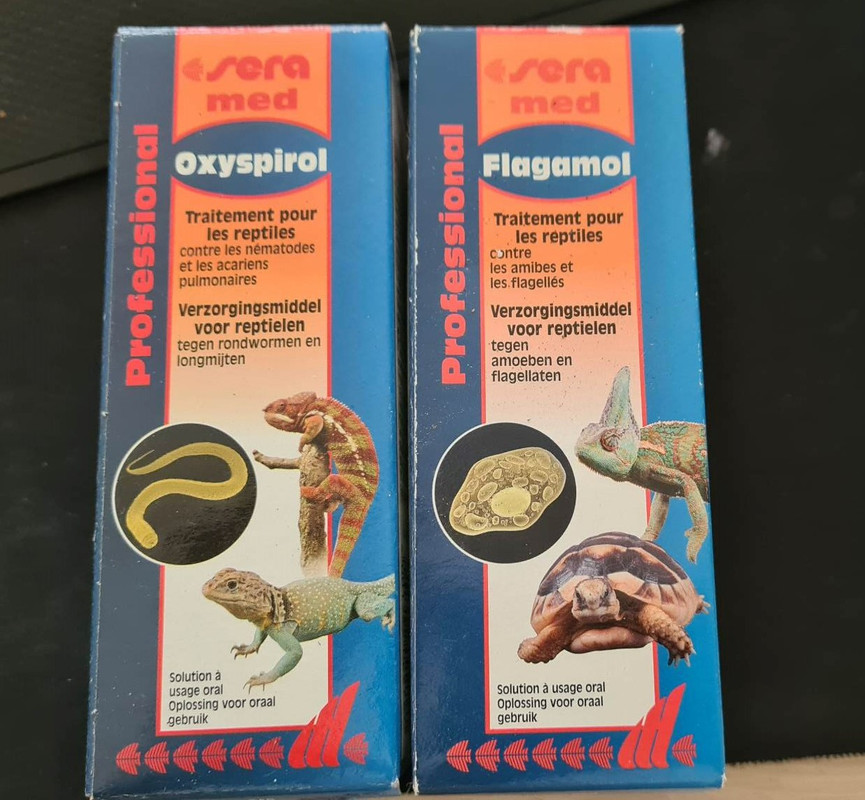 318887389_3020512641578675_4043054720262901229_n (2)