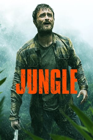 ჯუნგლები / Jungle / junglebi