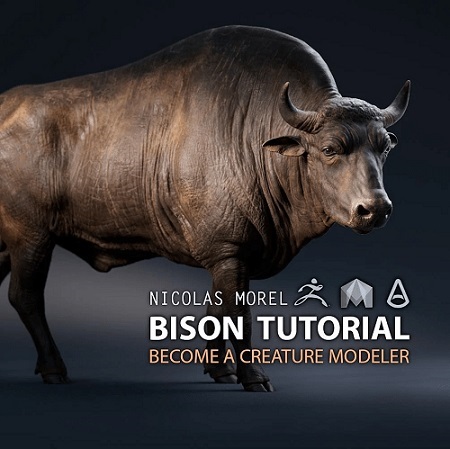 Bison Modeling Tutorial by Nicolas Morel