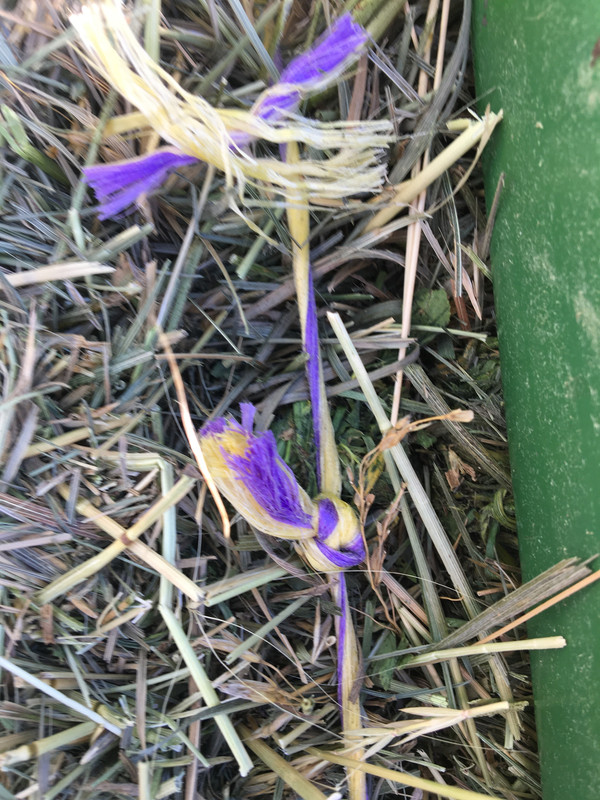 FD86BA13-CE02-4FFD-AADB-E28EBFDBEDE6