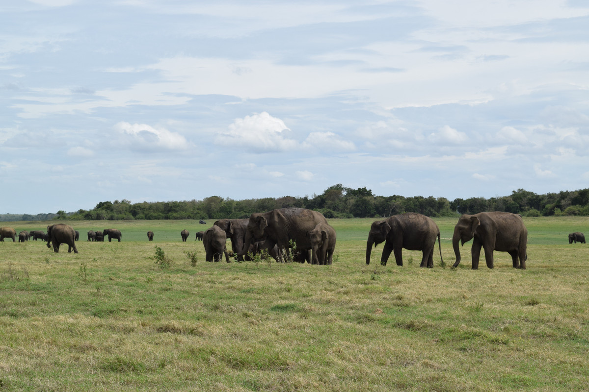 7070585D-F792-4AA5-A3BC-8C4E2957ED2C