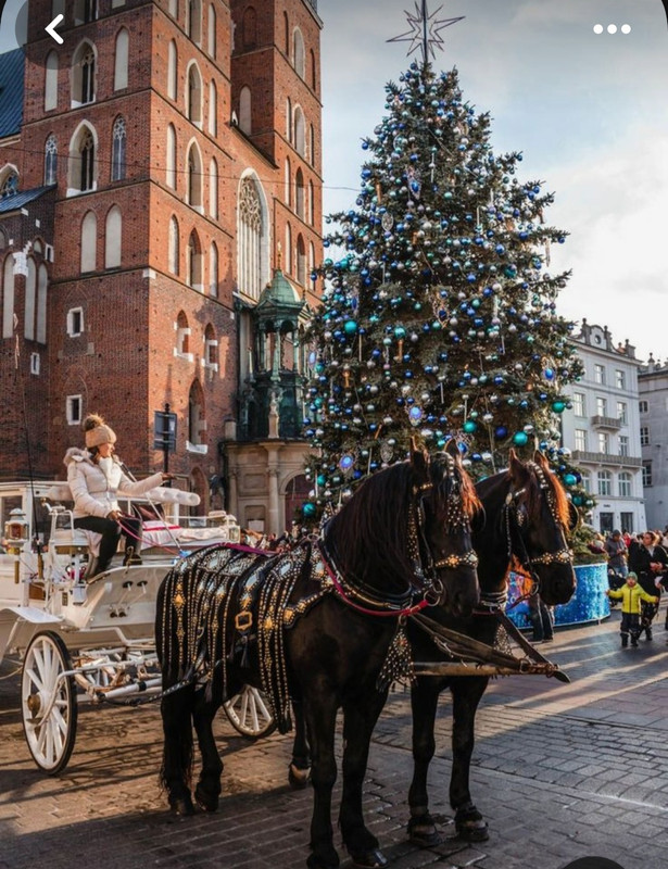 Screenshot_20231125_224028_Pinterest