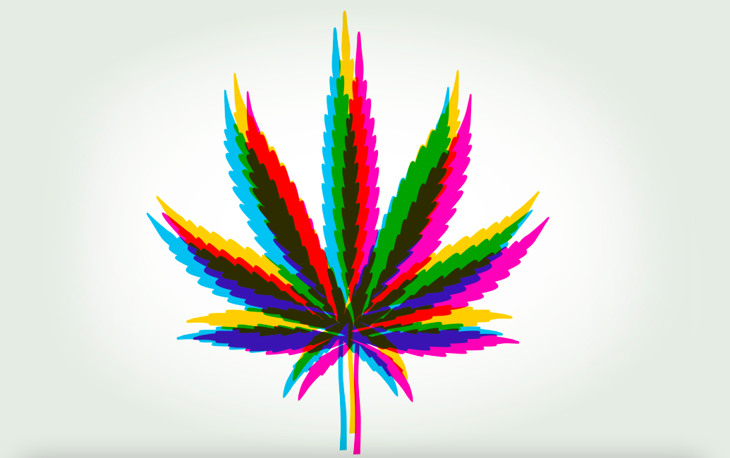 Inician campaña para legalizar la marihuana de uso recreativo en Florida