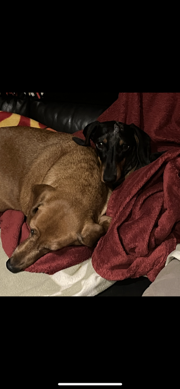 [Image: 108644-B3-4-D56-4-DDB-AFB3-FFB8-CE9-AE004.png]