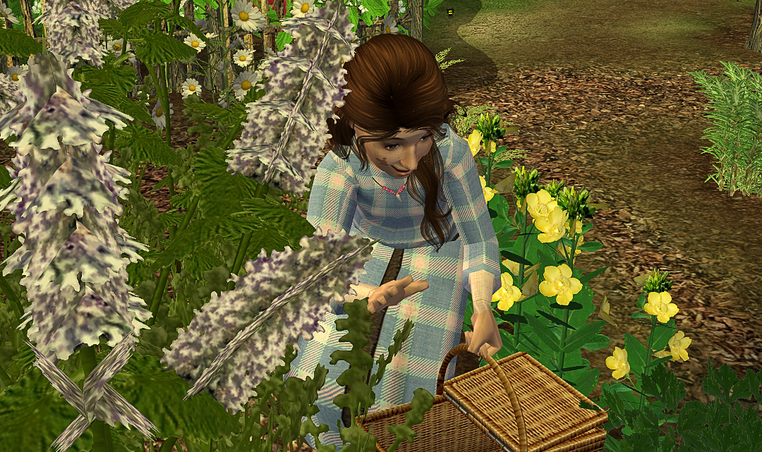 screenshot-2026-07-31-17-00-1