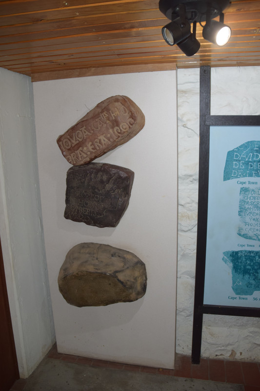 DSC_0174 (2)