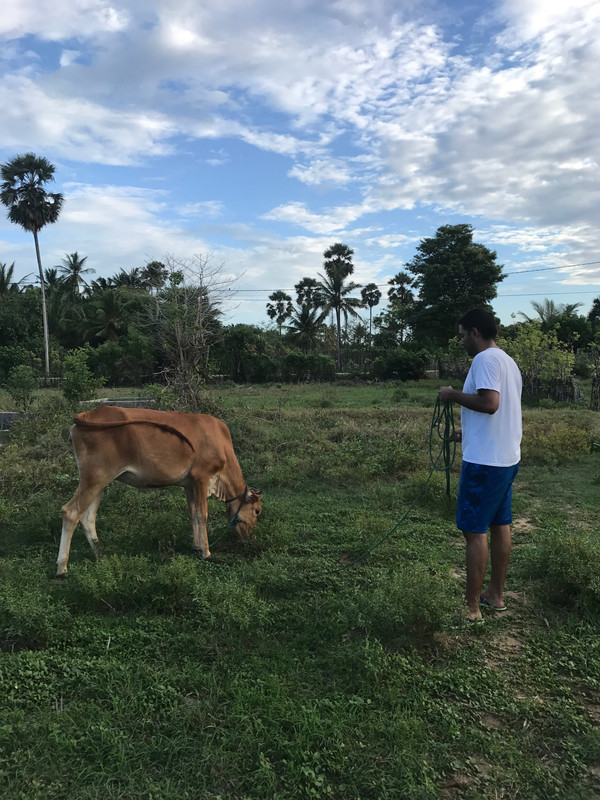 B6F762DC-F18C-4CA5-ADAE-A0084B1BA11B