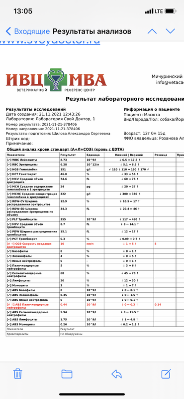 923F893F-40A4-42EB-8551-C9C70974EA87