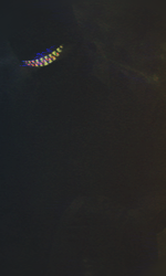 Dovada-5.png