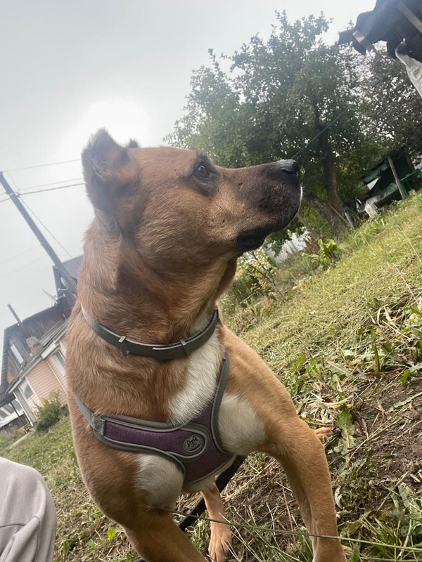 D1049D1D-0C8E-4DE7-A7DC-99F28E8074D2