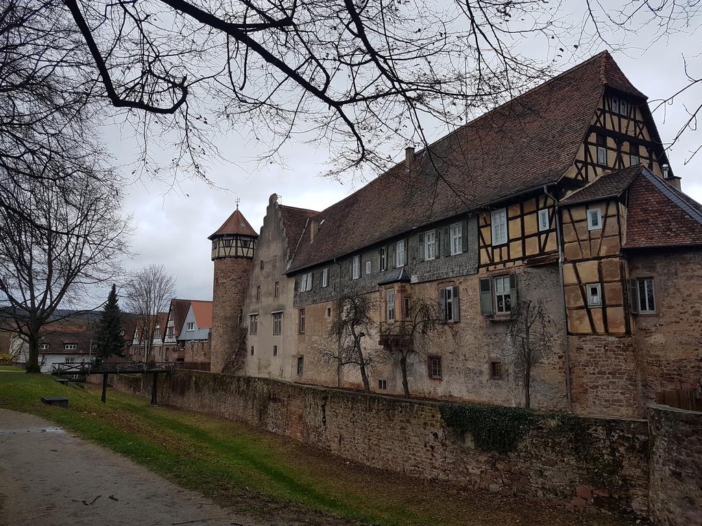 CUANDO LA NAVIDAD LLEGA A BAVIERA... - Blogs de Alemania - MILTENBERG-MICHELSTADT- VUELTA A CASA (10)