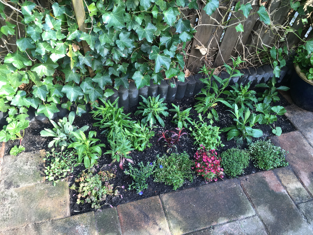 2196CEA0-6BCC-4CA7-B5FD-CD9324BFDFC0