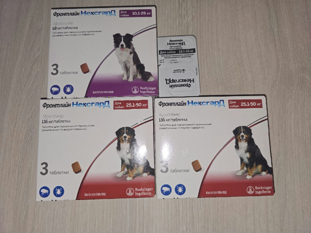 photo 2025 10 23 12 32 05