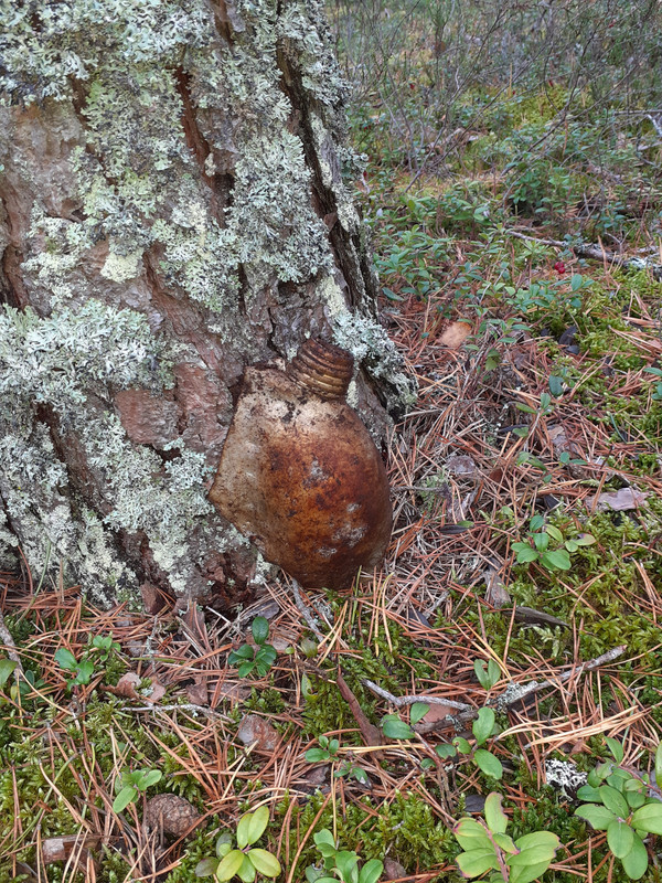 20211009_114822 – kopio