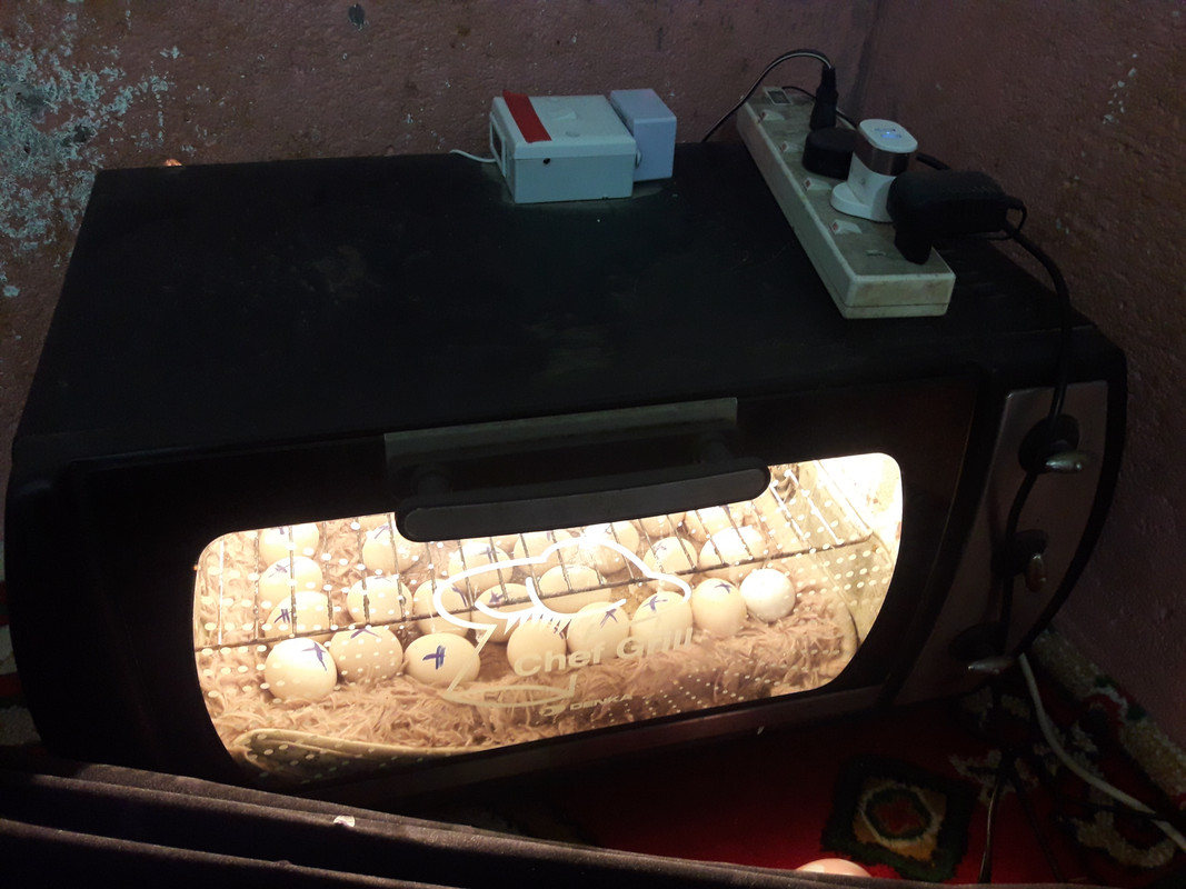 ٢٠٢١٠٣١٨_١٤٣٣٢٩