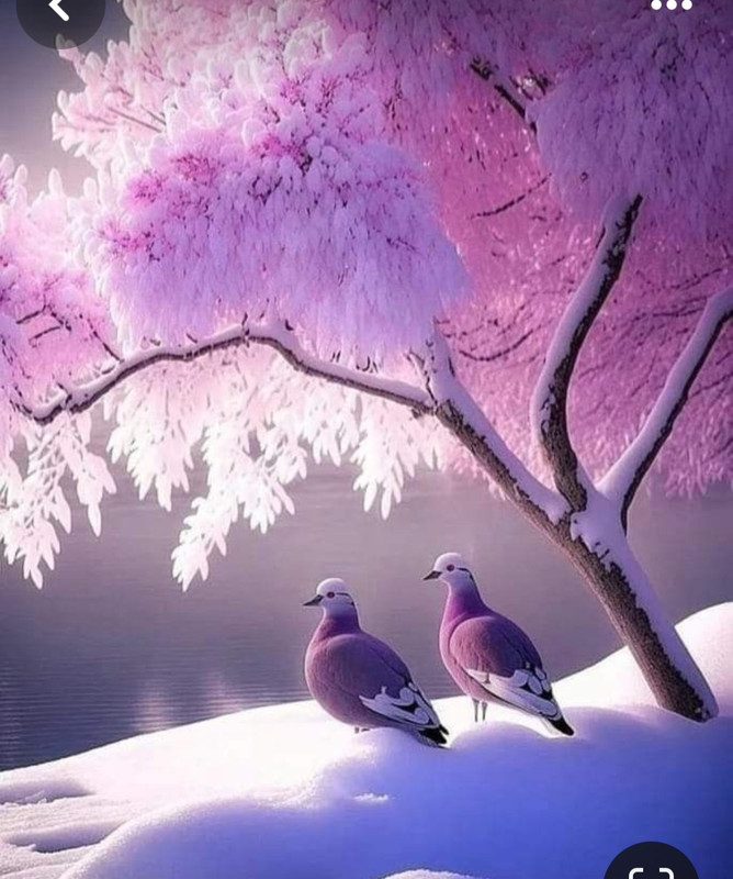 Screenshot_20240203_231251_Pinterest