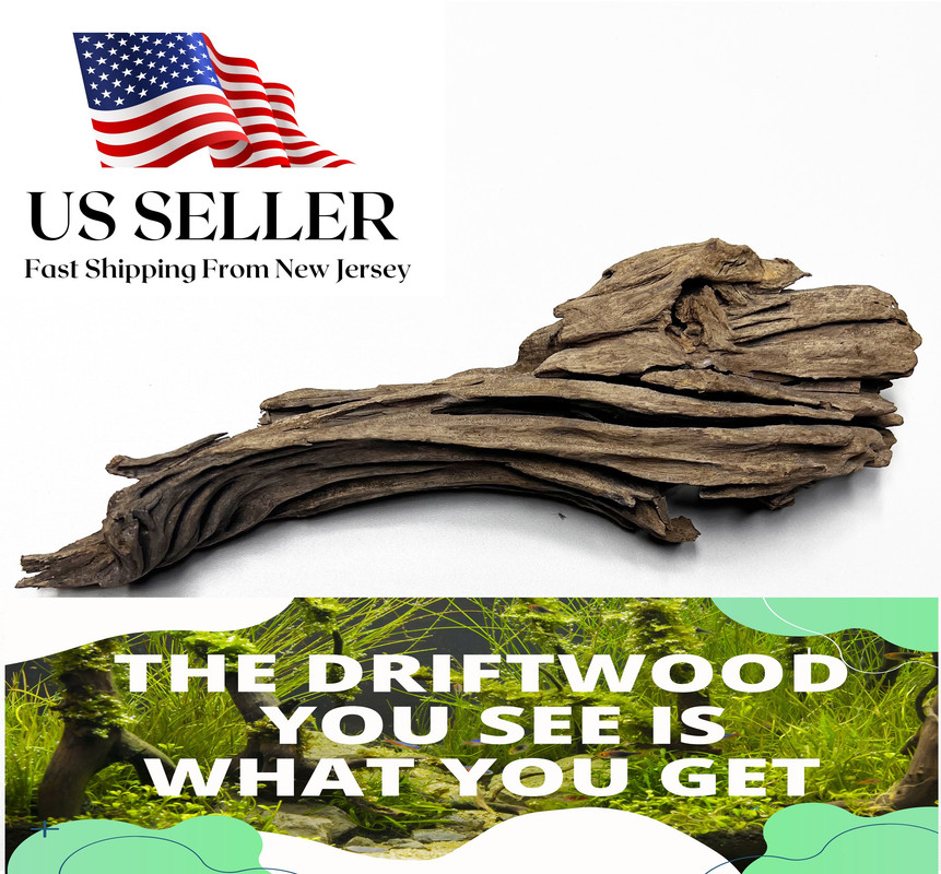 mangrovedriftwood
