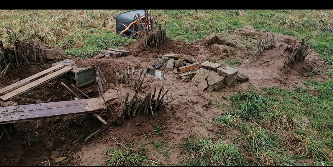 Screenshot_20240123_214238_com.android.gallery3d_edit_181479138487411