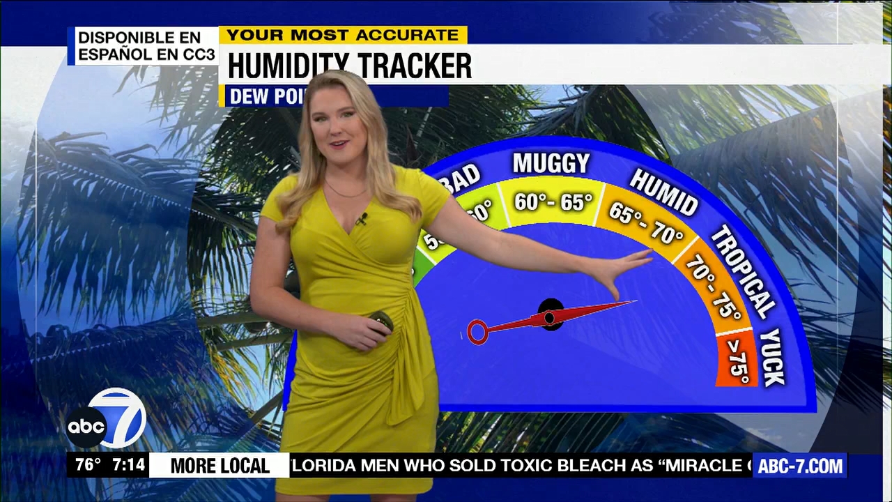 ABC7 More in the Morning Wkn 7am Sa_20231007_12001300.ts_snapshot_00.15.17.231
