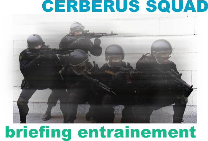 Cerberus-Airsoft - Portail Brefentrainement