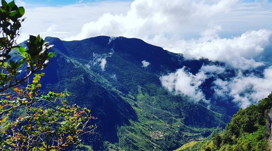 Horton Plains