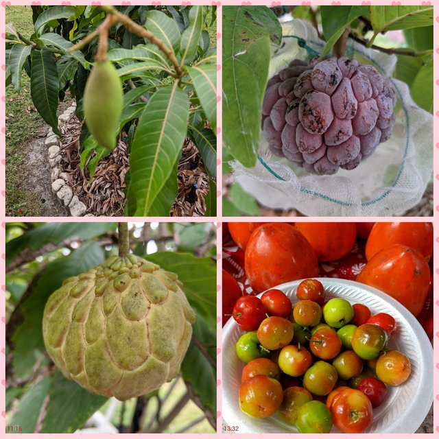 [Image: Photo-Grid-1607284630960.jpg]