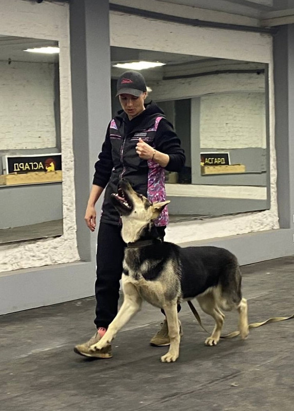 k-pd_HyclfAXpgLm4uicqx1sB-Y7wF8O1ytef47Ran5UNZ8dbEsd9aTh2kn9C5bvidjDHGWdbUUoPWUb_j1cfGXr