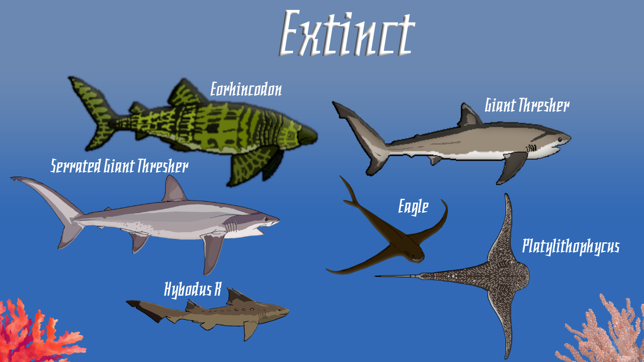 A preview of some sharks