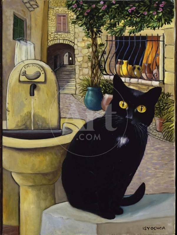 european-cat-at-st-paul-de-vence-france-u-L-Q1-HAQJW0