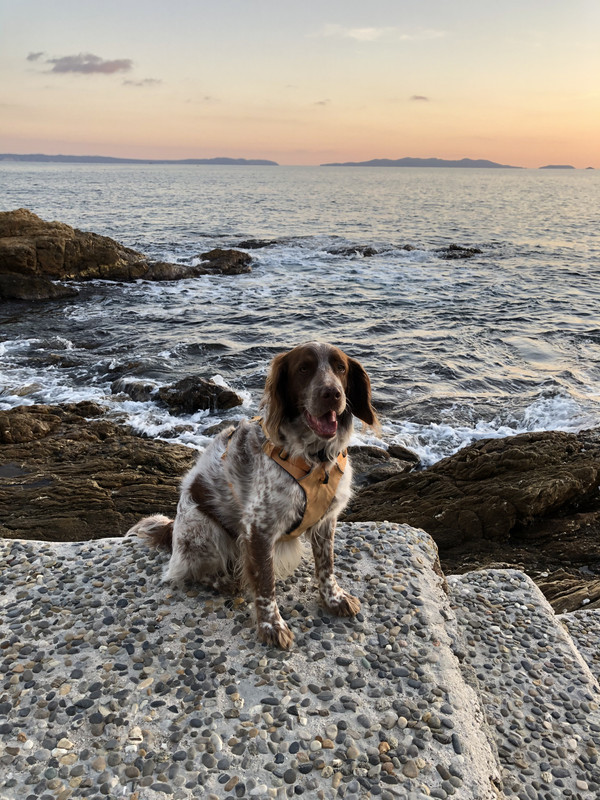 05FB9429-BDD9-4363-AC75-628FB14BA560