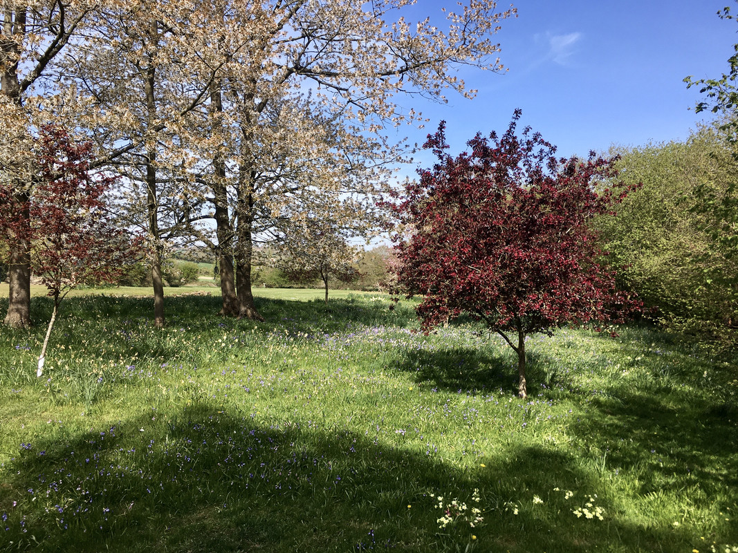 5AC54D81-9F39-4ABA-A9D3-A5EF41C58A8D