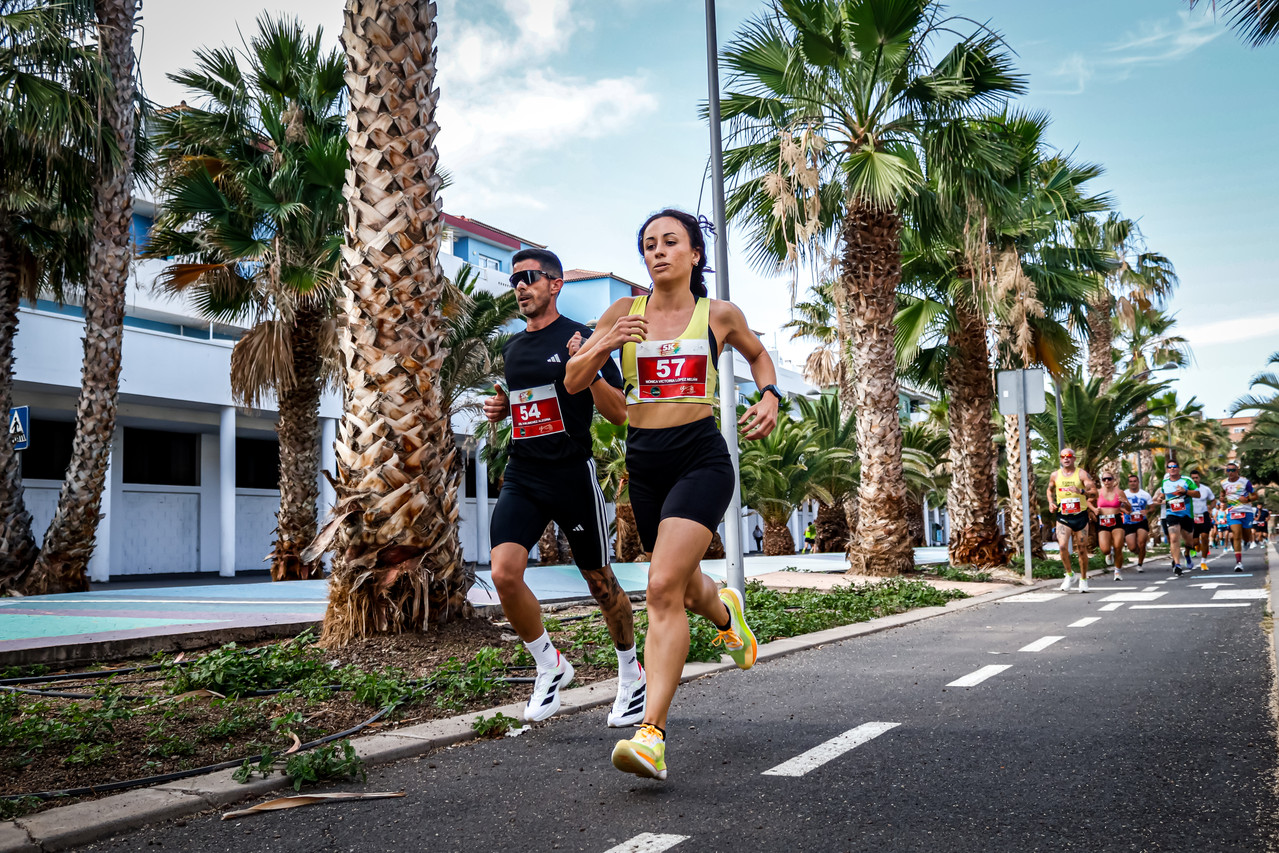 Canary Run 7813