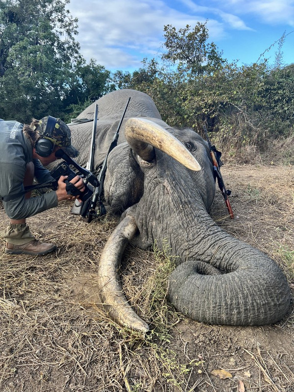 D3CFD97C-9AAA-4977-9D35-C453634D0D7A