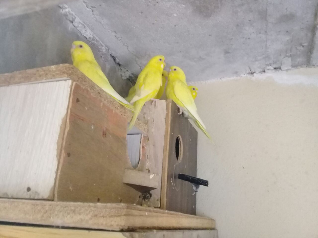 IMG-20180422-WA0008