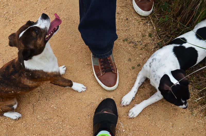 Barrancas de Burujón-2015/2025 - Toledo y sus pueblos-1996/2026 (34)