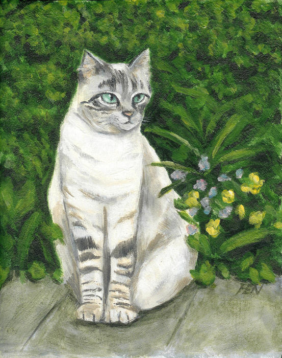 1-a-grey-cat-at-a-garden-jingfen-hwu