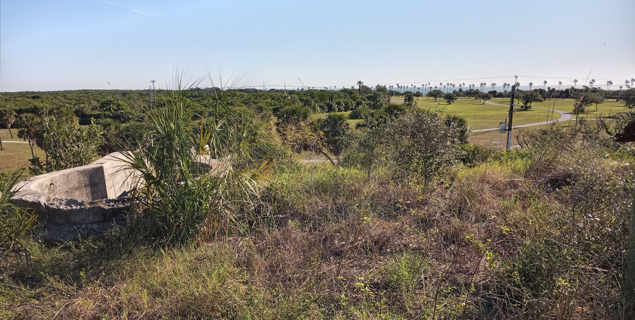 [Image: Florida9.jpg]