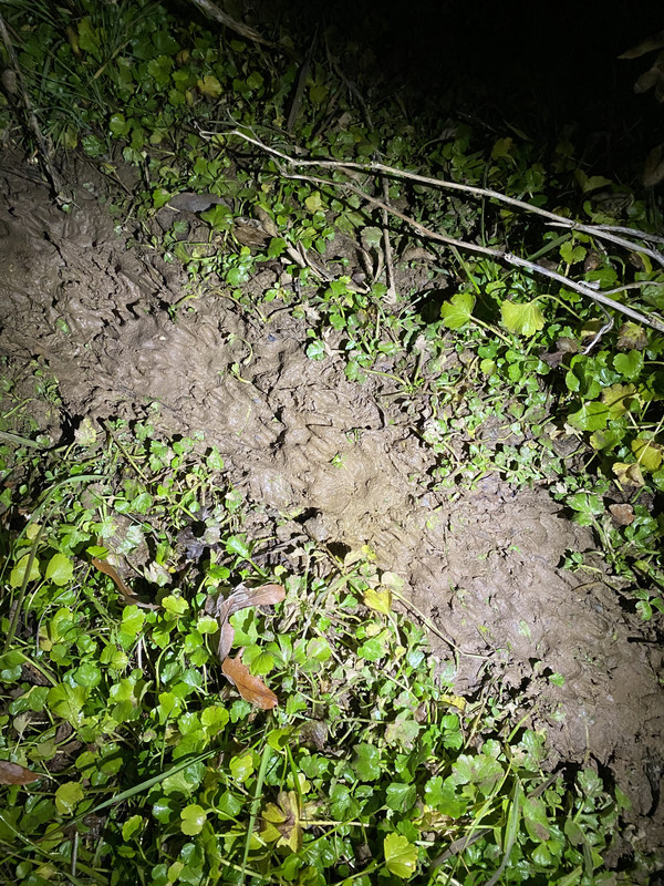 449BE25F-C646-45E7-8E2E-1E035D56E0E4