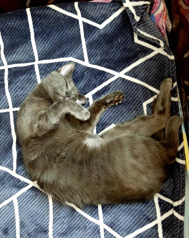 FDD77165-17EC-49FE-90F9-F827A5DA4991