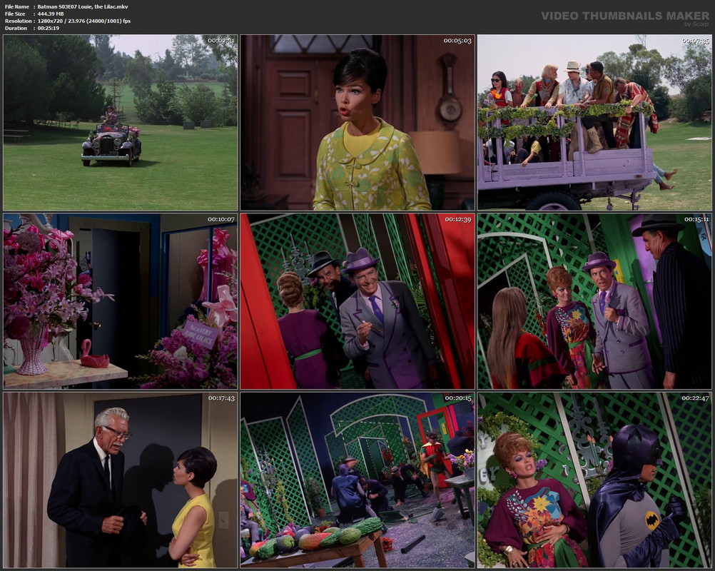 Batman S03E07 Louie, the Lilac.mkv