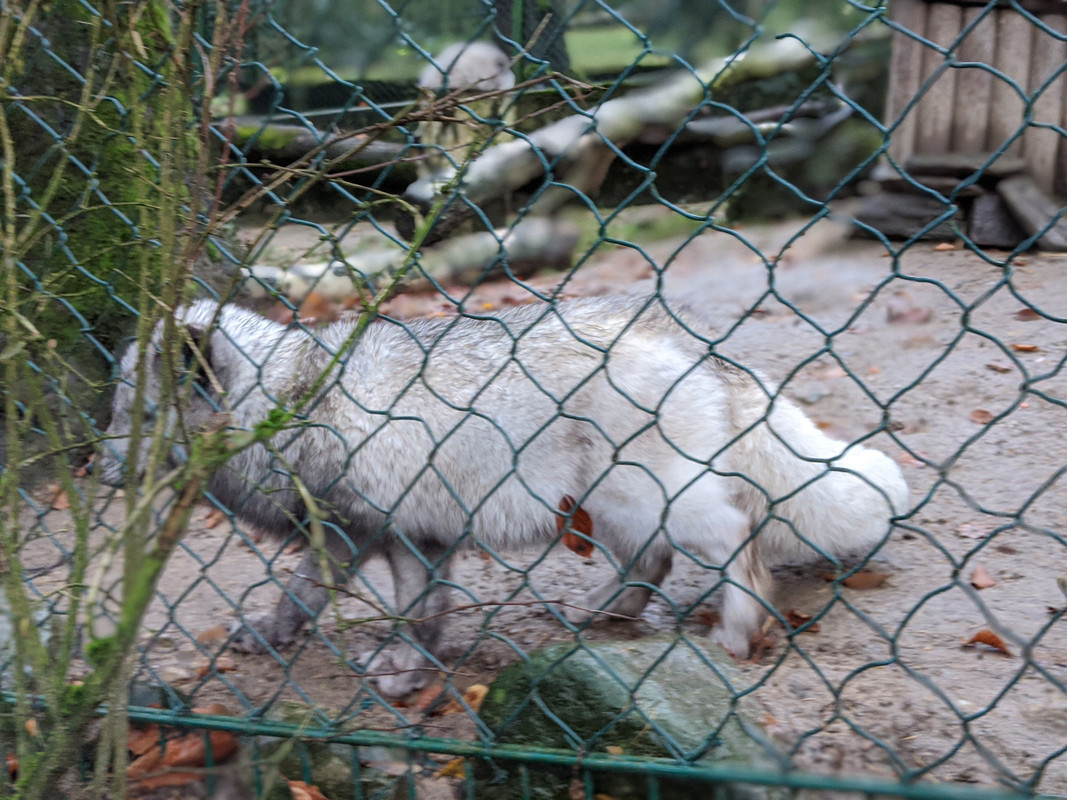 00100dPORTRAIT_00100_BURST20191208150612480_COVER