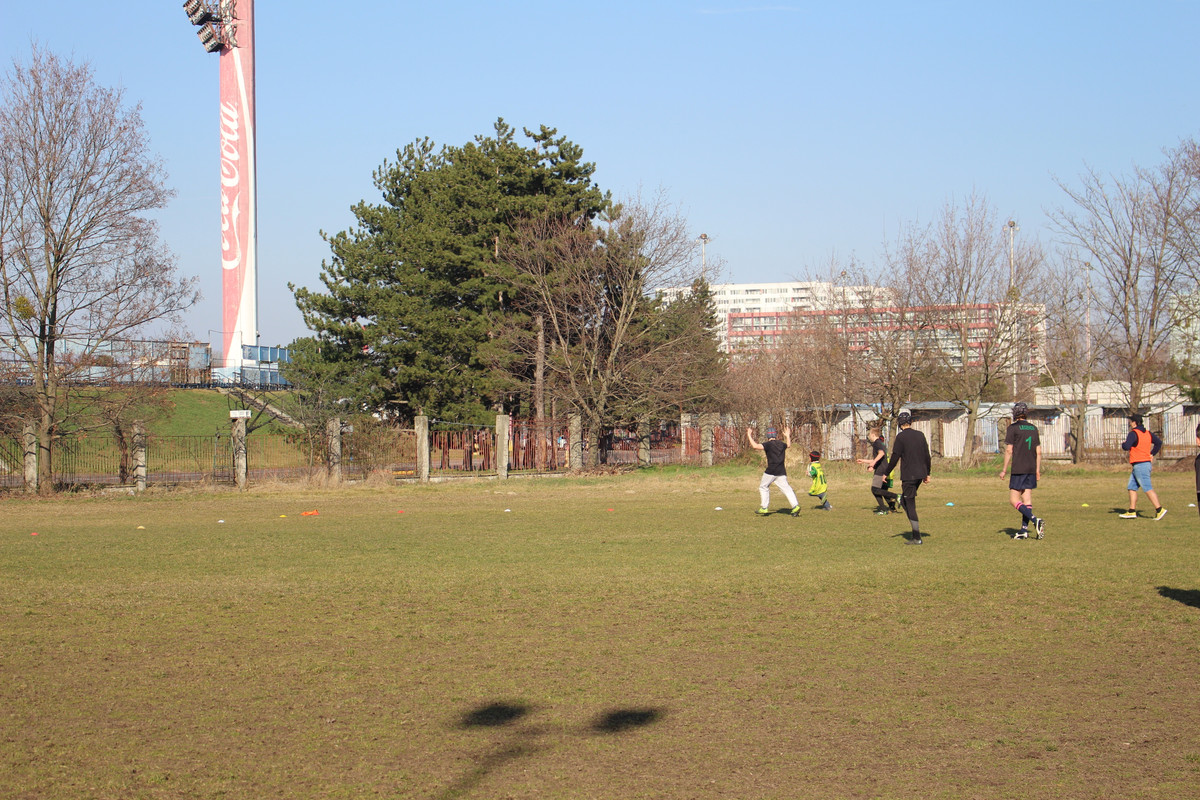 IMG-5401