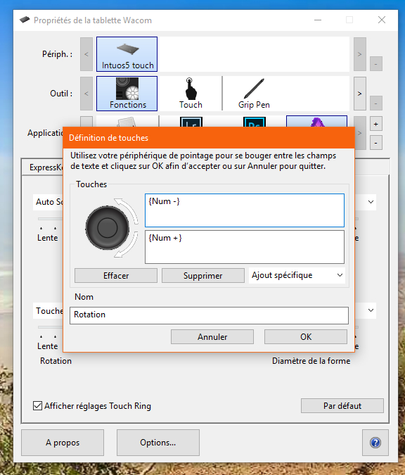 touch ring touche definition